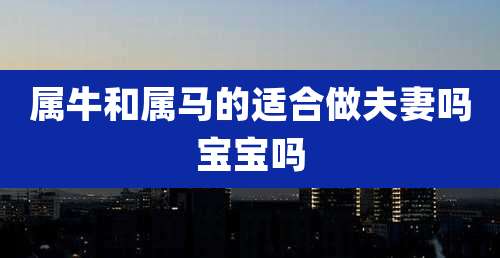 属牛和属马的适合做夫妻吗宝宝吗