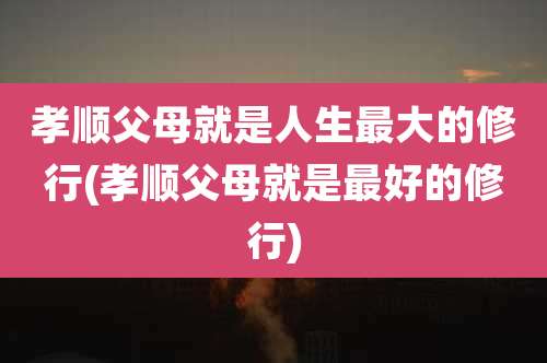 孝顺父母就是人生最大的修行(孝顺父母就是最好的修行)