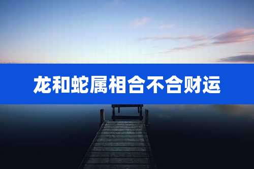 龙和蛇属相合不合财运