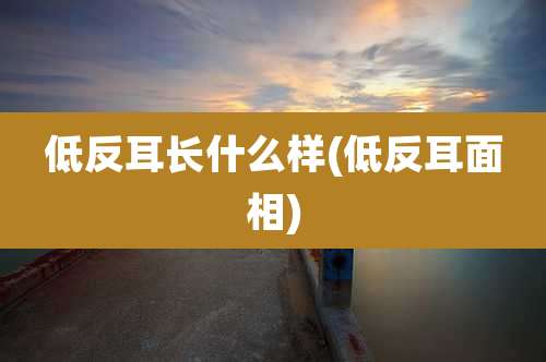 低反耳长什么样(低反耳面相)