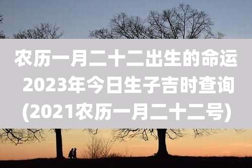 农历一月二十二出生的命运 2023年今日生子吉时查询(2021农历一月二十二号)