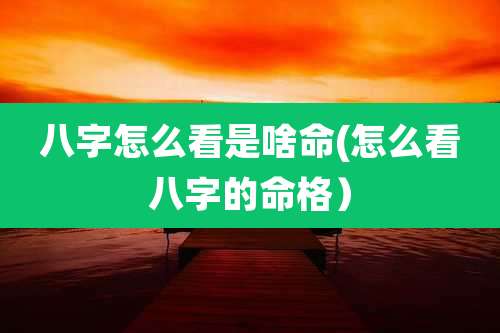 八字怎么看是啥命(怎么看八字的命格)