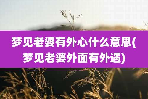 梦见老婆有外心什么意思(梦见老婆外面有外遇)