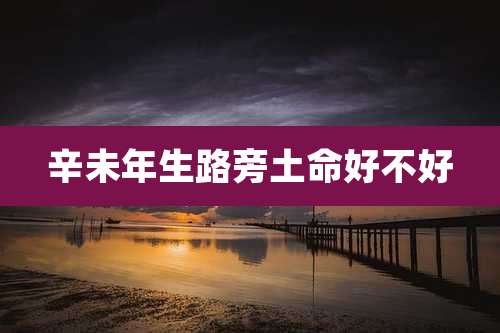 辛未年生路旁土命好不好