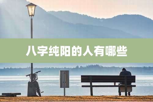 八字纯阳的人有哪些