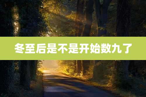 冬至后是不是开始数九了