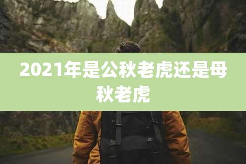 2021年是公秋老虎还是母秋老虎