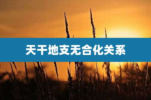 天干地支无合化关系