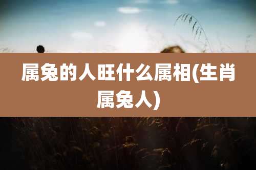 属兔的人旺什么属相(生肖属兔人)