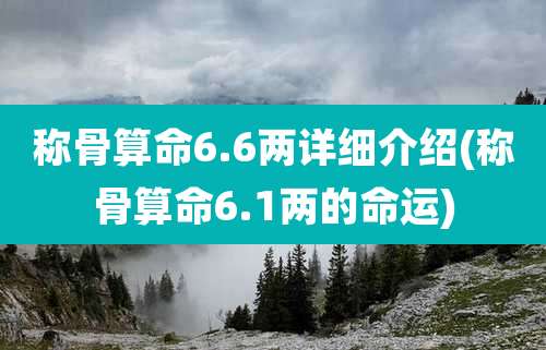 称骨算命6.6两详细介绍(称骨算命6.1两的命运)
