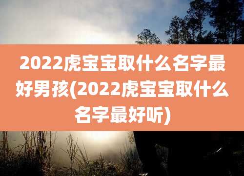 2022虎宝宝取什么名字最好男孩(2022虎宝宝取什么名字最好听)