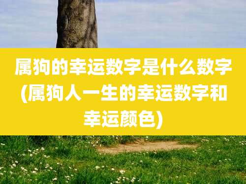 属狗的幸运数字是什么数字(属狗人一生的幸运数字和幸运颜色)