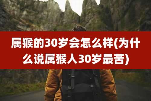 属猴的30岁会怎么样(为什么说属猴人30岁最苦)