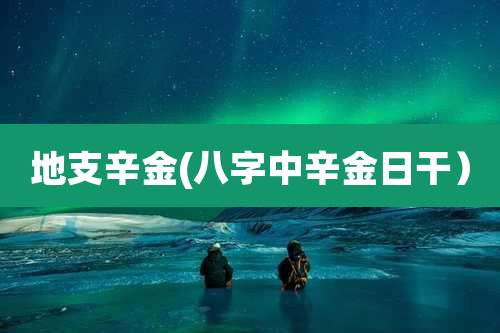 地支辛金(八字中辛金日干）