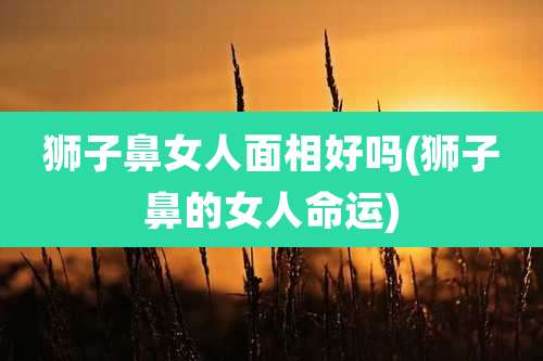 狮子鼻女人面相好吗(狮子鼻的女人命运)