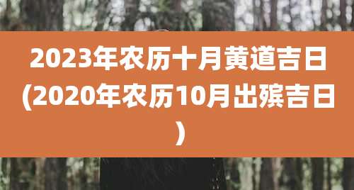 2023年农历十月黄道吉日(2020年农历10月出殡吉日)
