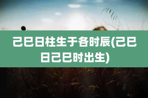 己巳日柱生于各时辰(己巳日己巳时出生)