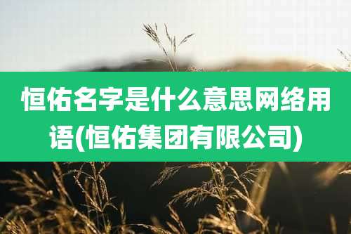 恒佑名字是什么意思网络用语(恒佑集团有限公司)