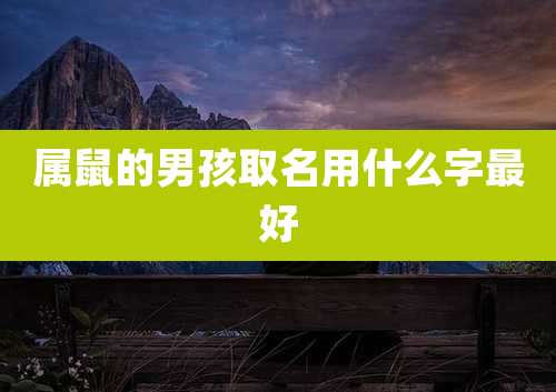 属鼠的男孩取名用什么字最好