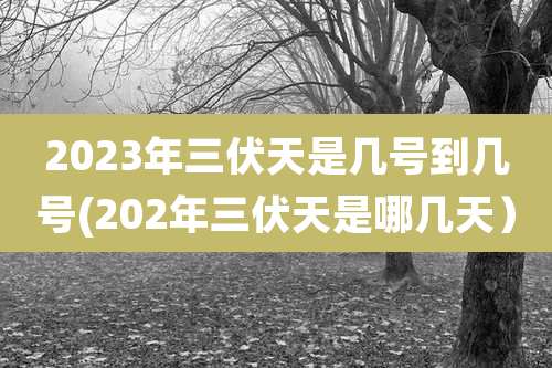 2023年三伏天是几号到几号(202年三伏天是哪几天)