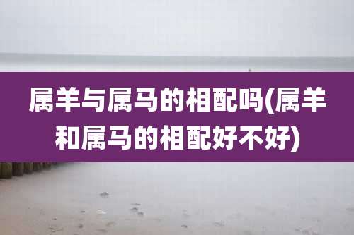 属羊与属马的相配吗(属羊和属马的相配好不好)