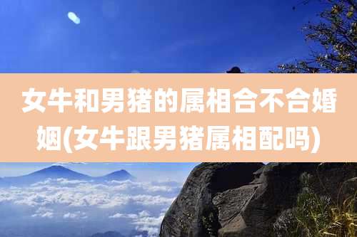 女牛和男猪的属相合不合婚姻(女牛跟男猪属相配吗)