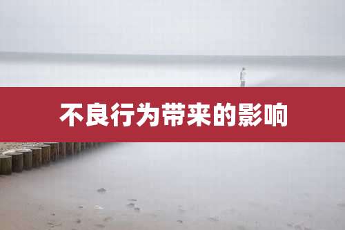 不良行为带来的影响