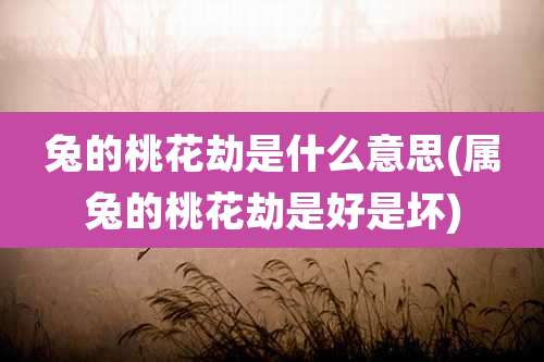 兔的桃花劫是什么意思(属兔的桃花劫是好是坏)