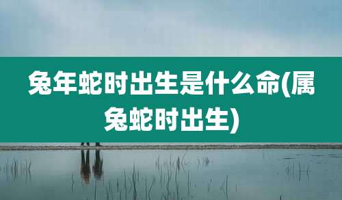 兔年蛇时出生是什么命(属兔蛇时出生)