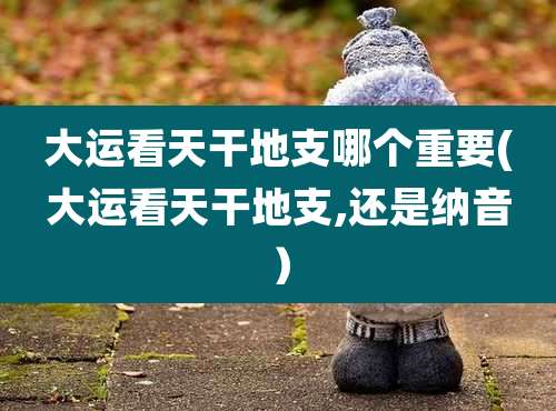 大运看天干地支哪个重要(大运看天干地支,还是纳音)