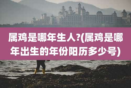 属鸡是哪年生人?(属鸡是哪年出生的年份阳历多少号)