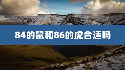 84的鼠和86的虎合适吗