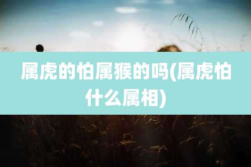 属虎的怕属猴的吗(属虎怕什么属相)