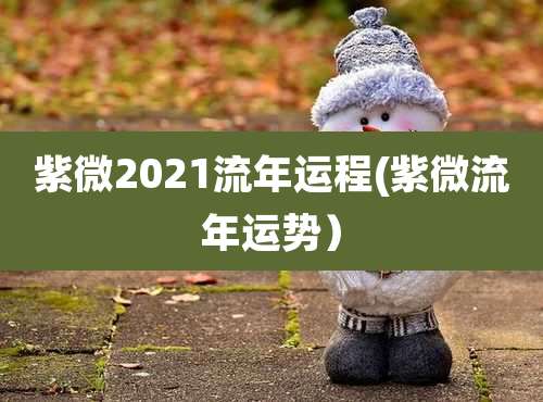 紫微2021流年运程(紫微流年运势)