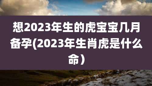 想2023年生的虎宝宝几月备孕(2023年生肖虎是什么命)