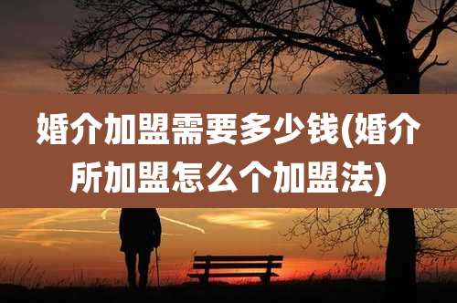 婚介加盟需要多少钱(婚介所加盟怎么个加盟法)