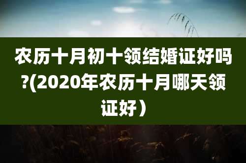 农历十月初十领结婚证好吗?(2020年农历十月哪天领证好)