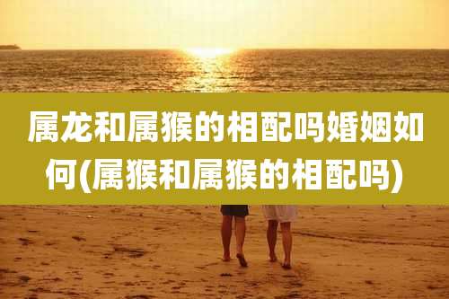 属龙和属猴的相配吗婚姻如何(属猴和属猴的相配吗)