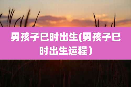 男孩子巳时出生(男孩子巳时出生运程)