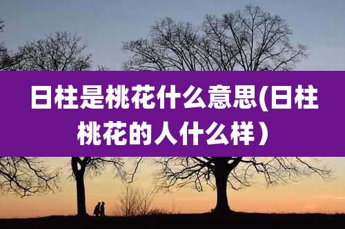 日柱是桃花什么意思(日柱桃花的人什么样)