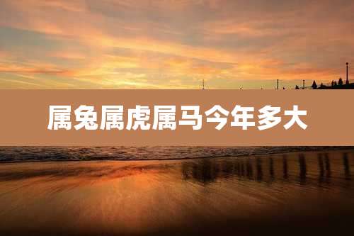 属兔属虎属马今年多大