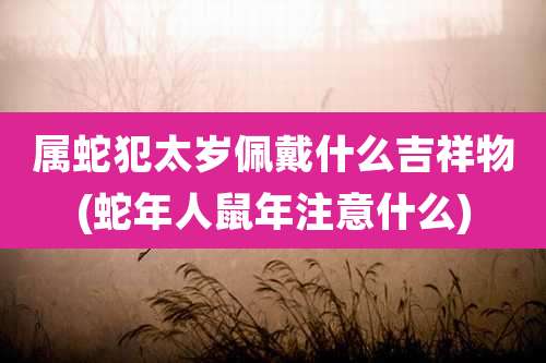 属蛇犯太岁佩戴什么吉祥物(蛇年人鼠年注意什么)