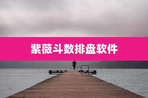 紫薇斗数排盘软件