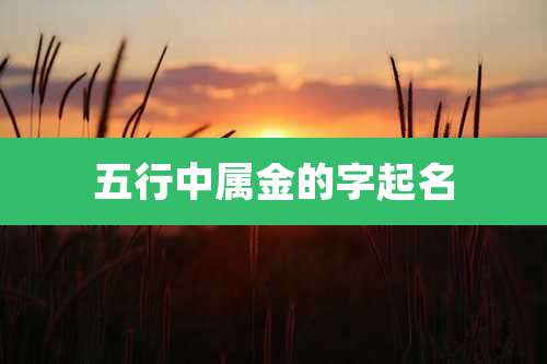 五行中属金的字起名