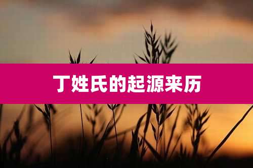 丁姓氏的起源来历