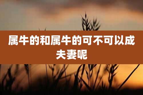 属牛的和属牛的可不可以成夫妻呢