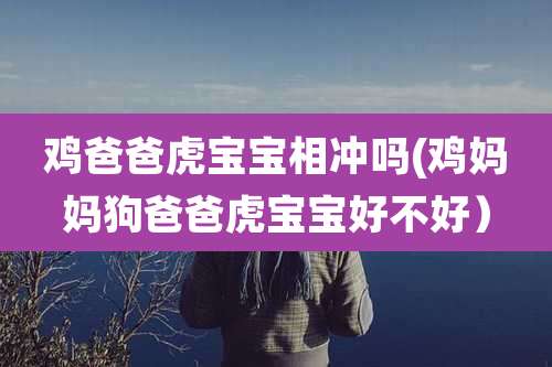 鸡爸爸虎宝宝相冲吗(鸡妈妈狗爸爸虎宝宝好不好）