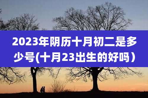 2023年阴历十月初二是多少号(十月23出生的好吗）