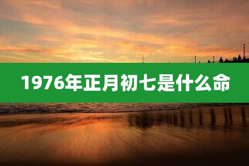 1976年正月初七是什么命