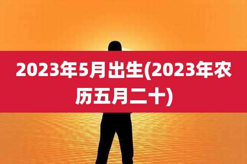 2023年5月出生(2023年农历五月二十)